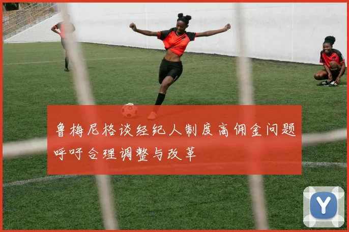 鲁梅尼格谈经纪人制度高佣金问题呼吁合理调整与改革